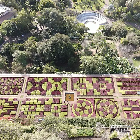 Apartmán Sea And Sun 4 - Oliveira